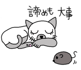 daily life Siamese cat sticker #12390057