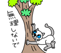 daily life Siamese cat sticker #12390066