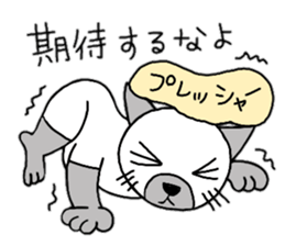 daily life Siamese cat sticker #12390067