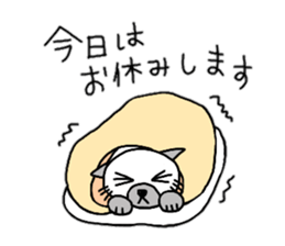 daily life Siamese cat sticker #12390073