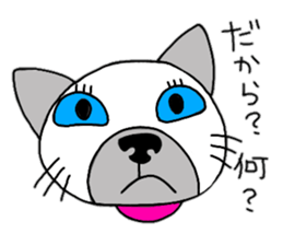 daily life Siamese cat sticker #12390081