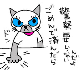 daily life Siamese cat sticker #12390083