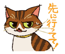 7 cats Sticker3 sticker #12392398