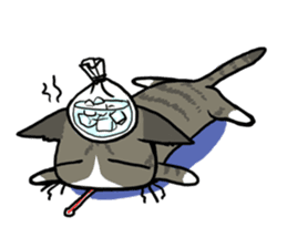 LU & NIC are everywhere 2 sticker #12392828