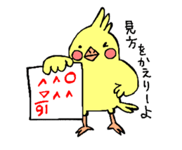 Hakata Parakeets sticker #12394167