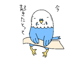 Hakata Parakeets sticker #12394192