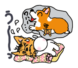 Corgi and Yorkshire Terrier sticker #12395319