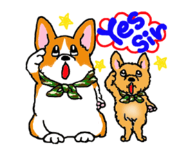Corgi and Yorkshire Terrier sticker #12395326