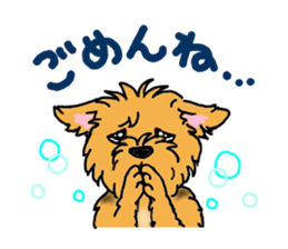 Corgi and Yorkshire Terrier sticker #12395333
