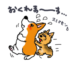 Corgi and Yorkshire Terrier sticker #12395335