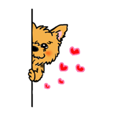 Corgi and Yorkshire Terrier sticker #12395342