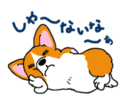 Corgi and Yorkshire Terrier sticker #12395347