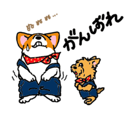 Corgi and Yorkshire Terrier sticker #12395348