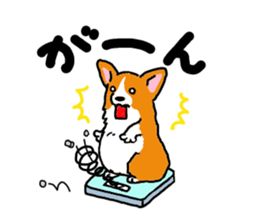 Corgi and Yorkshire Terrier sticker #12395350