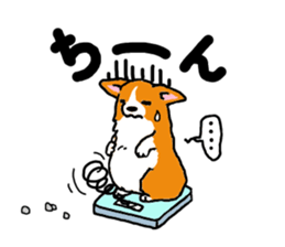 Corgi and Yorkshire Terrier sticker #12395351