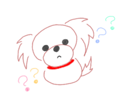 pretty Maltese dog Milky sticker #12397297