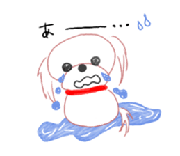 pretty Maltese dog Milky sticker #12397303