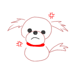 pretty Maltese dog Milky sticker #12397304