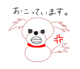 pretty Maltese dog Milky sticker #12397305