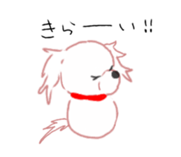 pretty Maltese dog Milky sticker #12397307