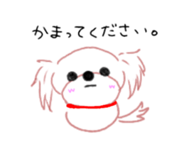 pretty Maltese dog Milky sticker #12397308