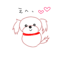 pretty Maltese dog Milky sticker #12397309