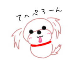 pretty Maltese dog Milky sticker #12397310