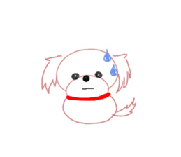 pretty Maltese dog Milky sticker #12397311