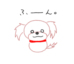 pretty Maltese dog Milky sticker #12397313