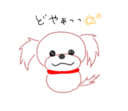 pretty Maltese dog Milky sticker #12397314