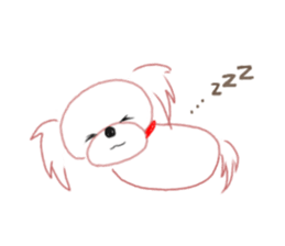 pretty Maltese dog Milky sticker #12397315