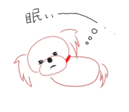 pretty Maltese dog Milky sticker #12397316