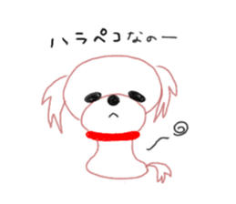 pretty Maltese dog Milky sticker #12397318