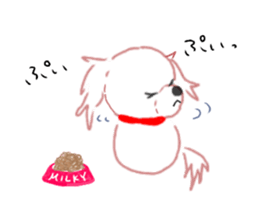 pretty Maltese dog Milky sticker #12397320