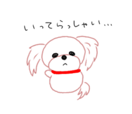 pretty Maltese dog Milky sticker #12397322