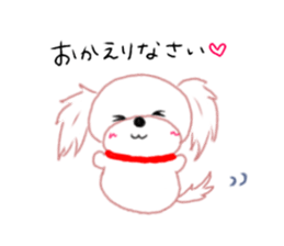 pretty Maltese dog Milky sticker #12397323