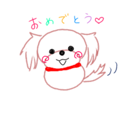 pretty Maltese dog Milky sticker #12397326