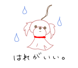 pretty Maltese dog Milky sticker #12397330