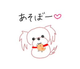 pretty Maltese dog Milky sticker #12397332