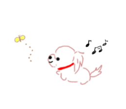pretty Maltese dog Milky sticker #12397333