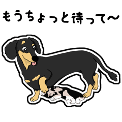 Cute Dachshund Vol 4