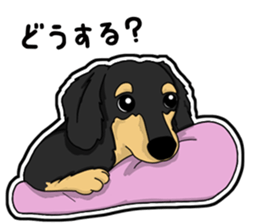 Cute Dachshund Vol 4 sticker #12398129