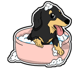 Cute Dachshund Vol 4 sticker #12398132
