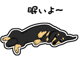 Cute Dachshund Vol 4 sticker #12398147