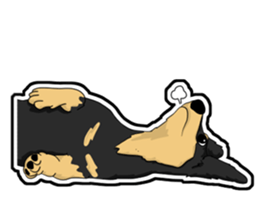 Cute Dachshund Vol 4 sticker #12398153