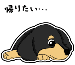 Cute Dachshund Vol 4 sticker #12398157