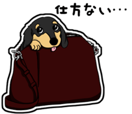 Cute Dachshund Vol 4 sticker #12398158