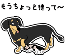 Cute Dachshund Vol 4 sticker #12398162