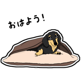 Cute Dachshund Vol 4 sticker #12398164