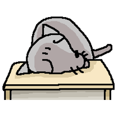 He is a cat named Gal 10